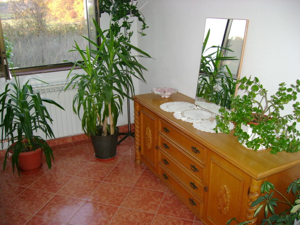 Guest House Robi Medjugorje Bilik gambar