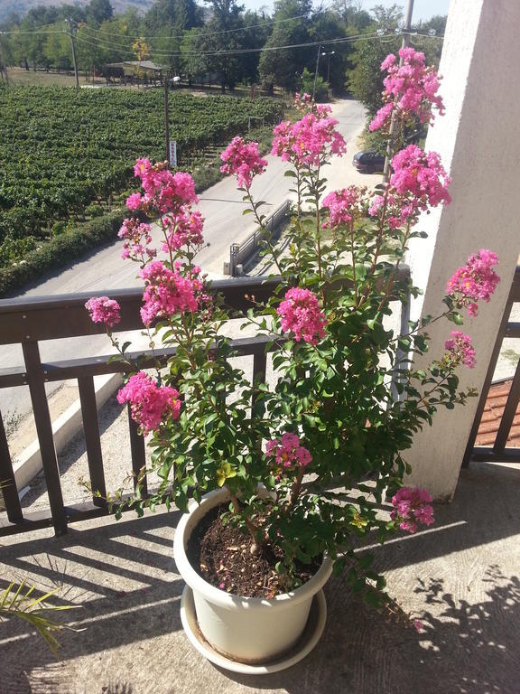 Guest House Robi Medjugorje Luaran gambar